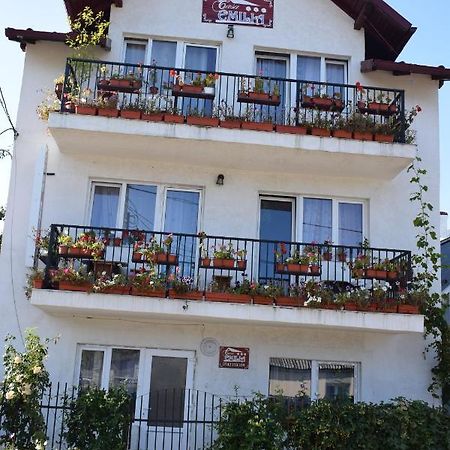 Casa Emilia Hotel Vatra Dornei Ngoại thất bức ảnh