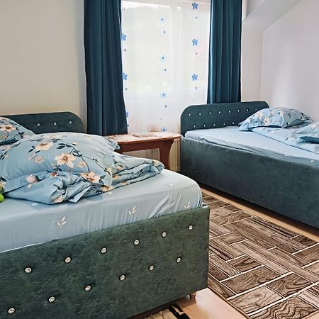 Casa Emilia Hotel Vatra Dornei Ngoại thất bức ảnh