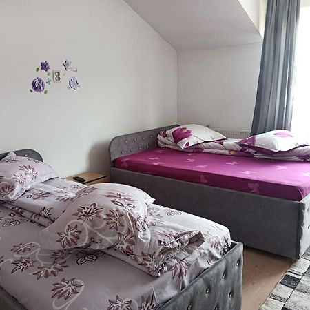 Casa Emilia Hotel Vatra Dornei Ngoại thất bức ảnh