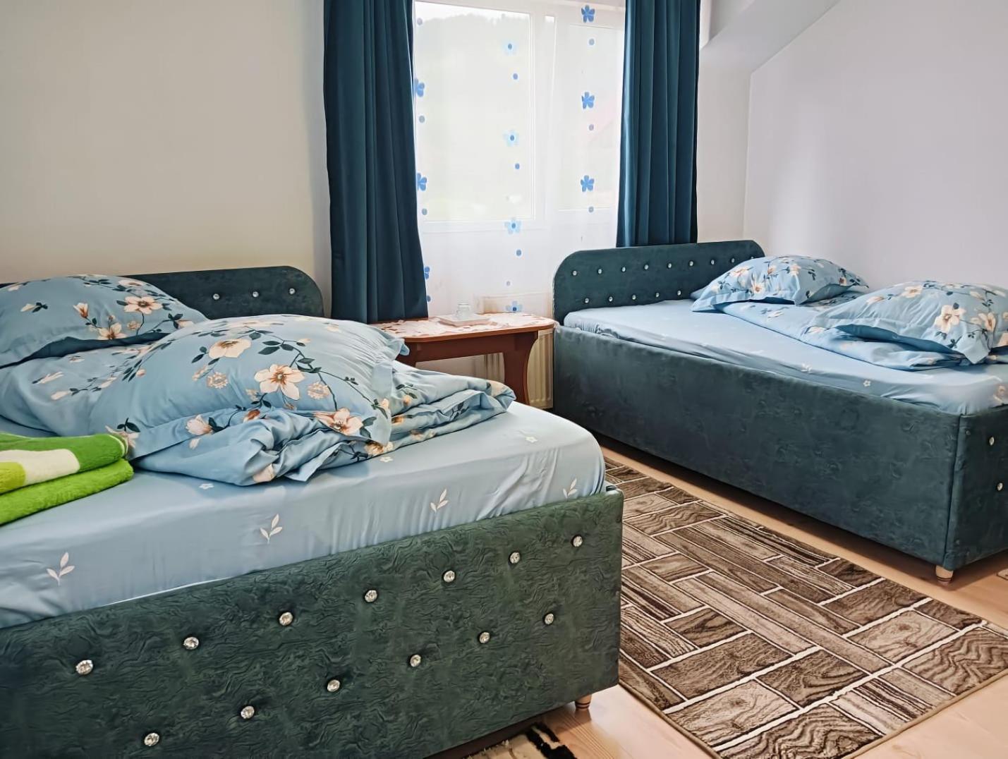 Casa Emilia Hotel Vatra Dornei Ngoại thất bức ảnh