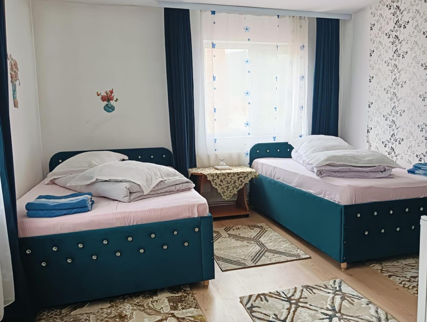 Casa Emilia Hotel Vatra Dornei Ngoại thất bức ảnh