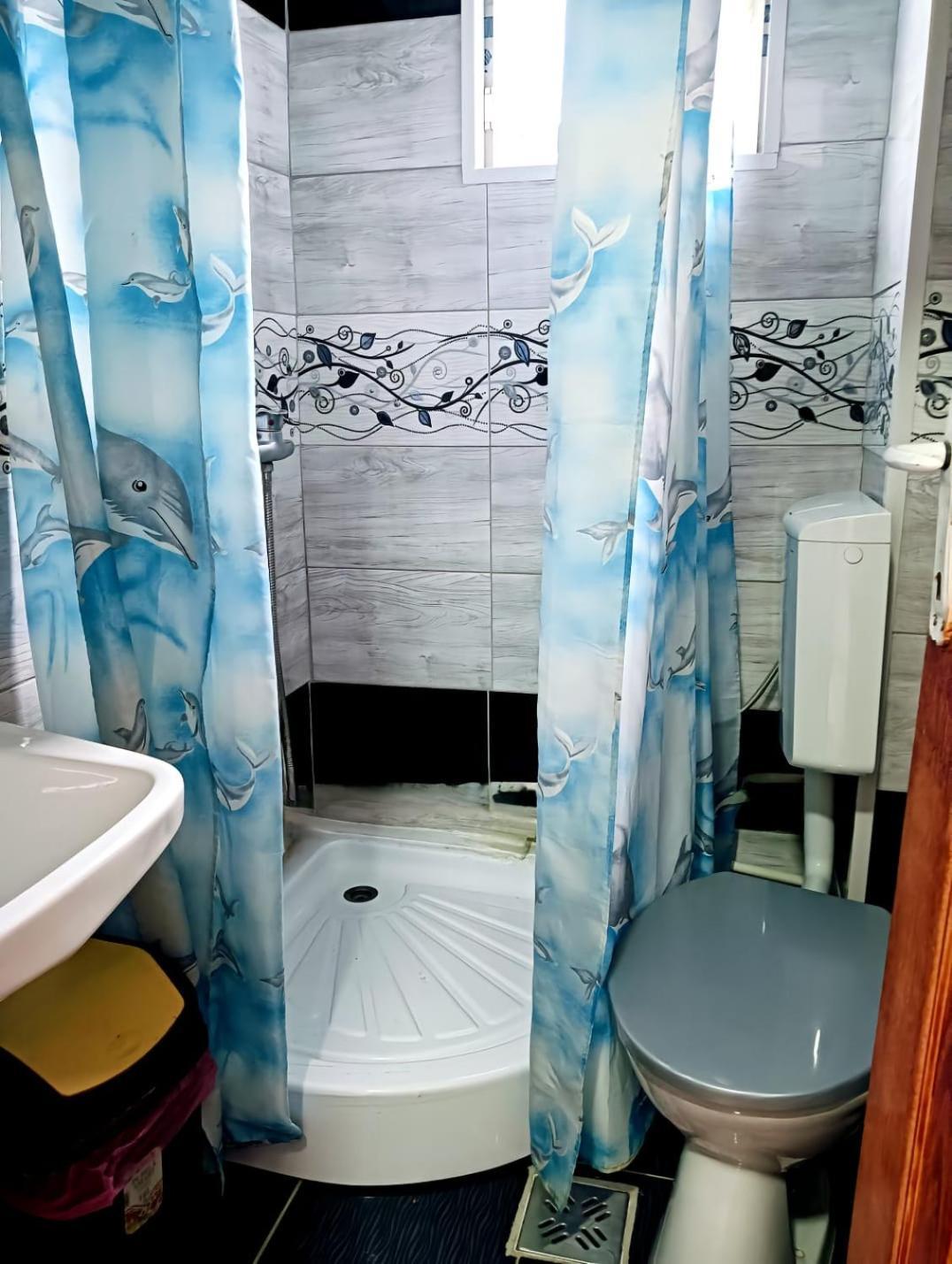 Casa Emilia Hotel Vatra Dornei Ngoại thất bức ảnh