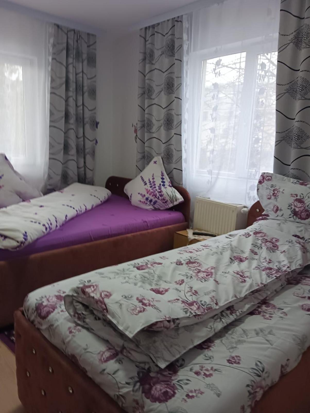 Casa Emilia Hotel Vatra Dornei Phòng bức ảnh