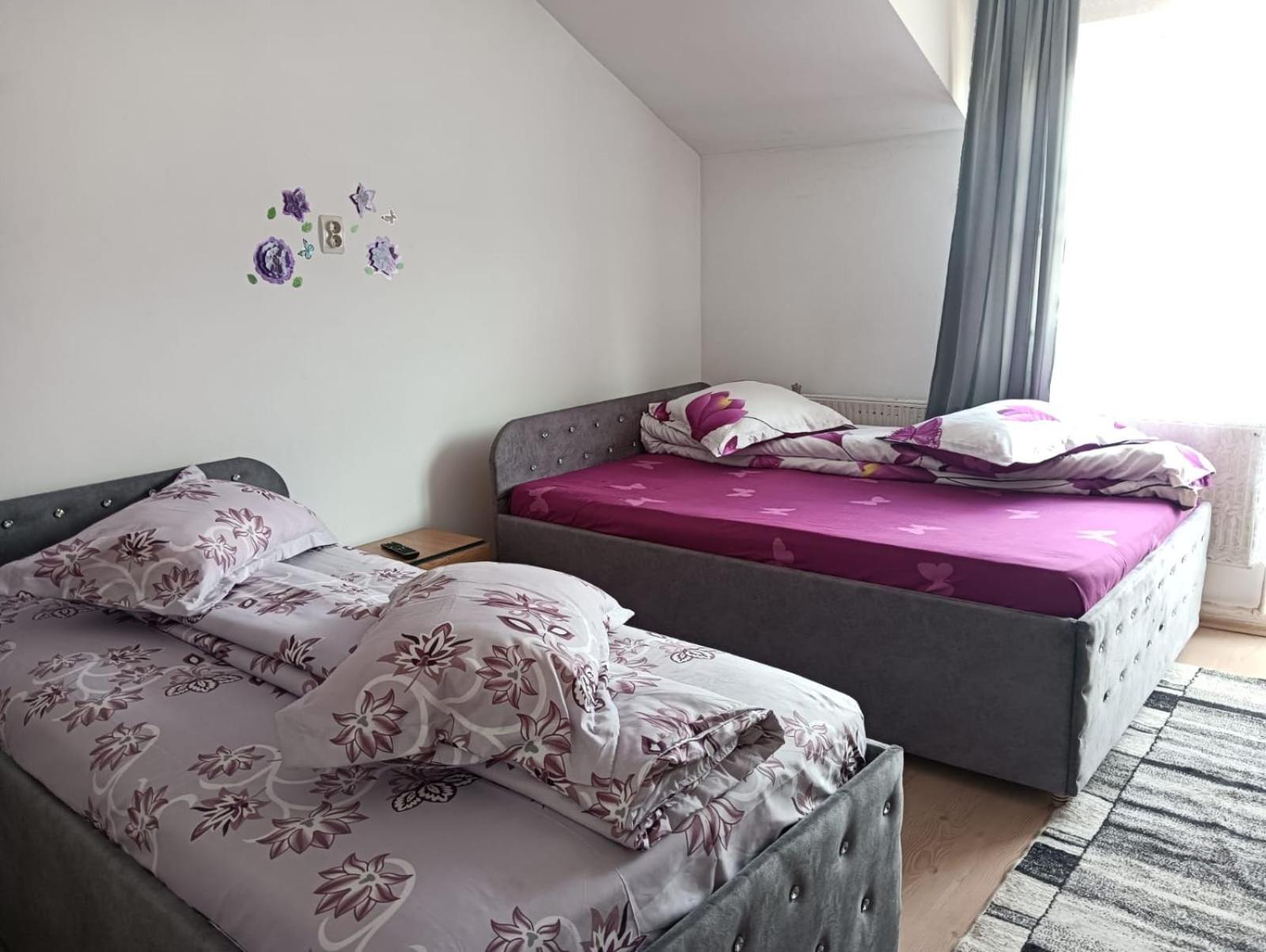 Casa Emilia Hotel Vatra Dornei Ngoại thất bức ảnh