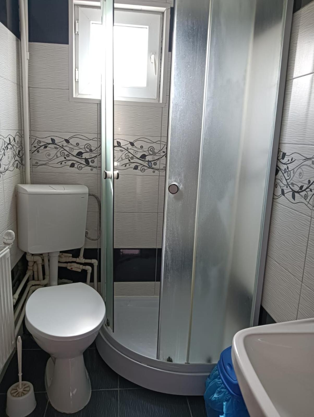 Casa Emilia Hotel Vatra Dornei Ngoại thất bức ảnh