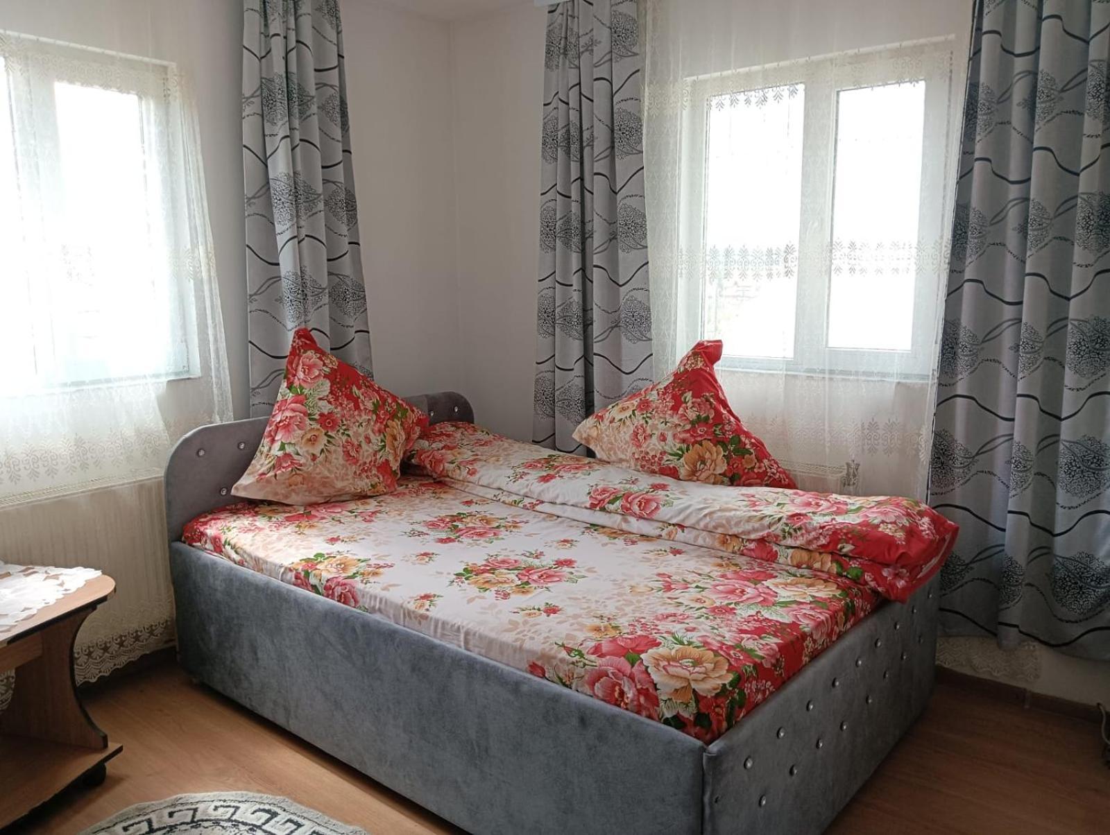 Casa Emilia Hotel Vatra Dornei Ngoại thất bức ảnh