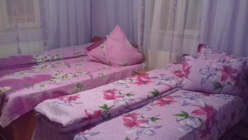 Casa Emilia Hotel Vatra Dornei Ngoại thất bức ảnh